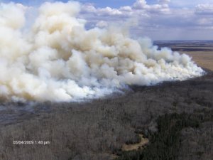 On the ecotone (ecosystem transition area) between the southern boreal plains and prairie grasslands of Saskatchewan; this is a 2009 prescribed burn in Prince Albert National Park designed to restore a grassland ecosystem. The fire is burning through a decadent stand of trembling aspen, burning as a relatively high intensity surface fire. 